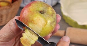 20 meilleurs ustensiles économes guide d'achat