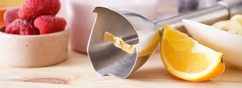 meilleurs mixeurs plongeants avis comparatif guide d'achat