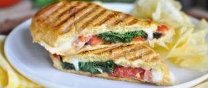 meilleur appareil machine panini comparatif guide d'achat
