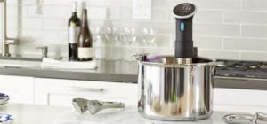 meilleur cuiseur sous vide thermoplongeur comparatif guide d'achat pas cher