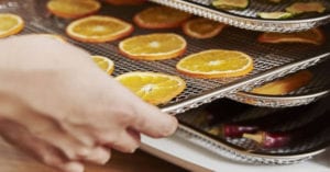 meilleur déshydrateur alimentaire