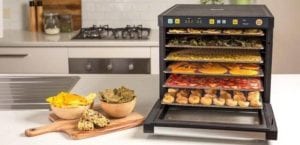 déshydrateur électrique grande capacité