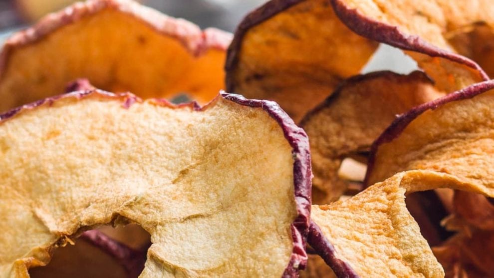 meilleur déshydrateur comparatif guide d'achat pas cher