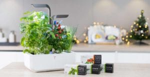 meilleur potager intérieur pas cher