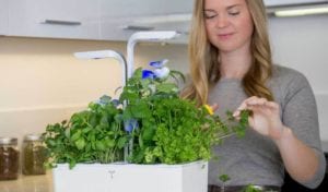 meilleur pot connecté véritable