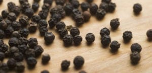 meilleur moulin a poivre pas cher