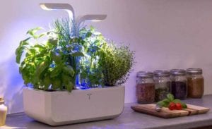 meilleur potager d'intérieur LED