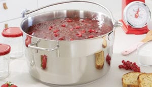 meilleur bassine a confiture inox