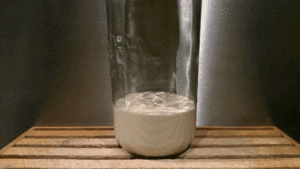 COMMENT FAIRE LEVAIN MAISON FACILE