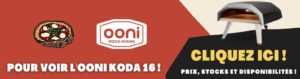 avis test essai ooni koda 16