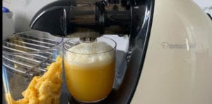 avis test essai extracteur de jus horizontal amzchef pas cher