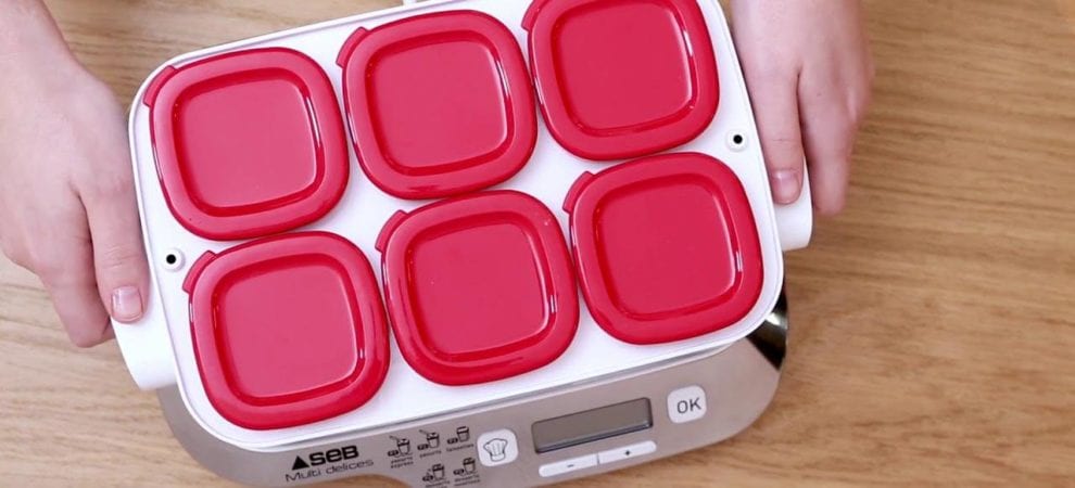 avis test essai yaourtière SEB multidelices express YG661500