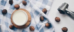 meilleur casse noix casse noisettes comparatif guide d'achat