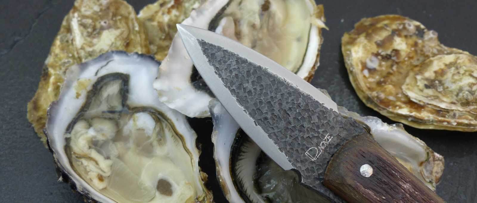 Ensemble d'outils d'écailleur d'huîtres en acier inoxydable, ouvre
