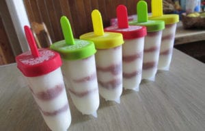 meilleur moule a glace batonnet popsicle