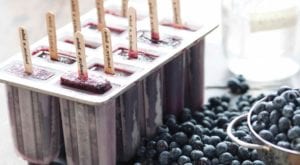 meilleur moule a glace batonnet popsicle