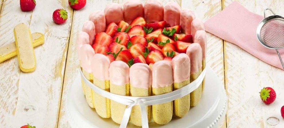 meilleur moule a charlotte charnière demontable