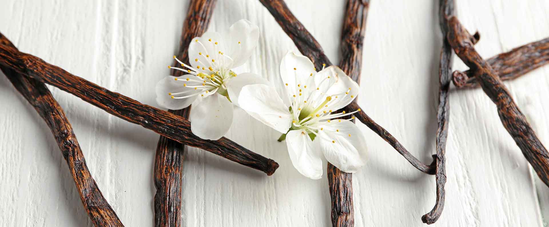 meilleure gousse de vanille madagascar bourbon