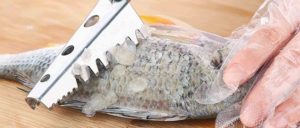 meilleur écailleur à poisson grattoir