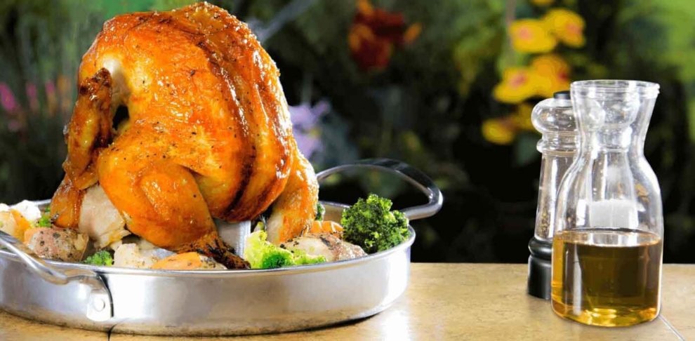 meilleure rotissoire verticale poulet roti