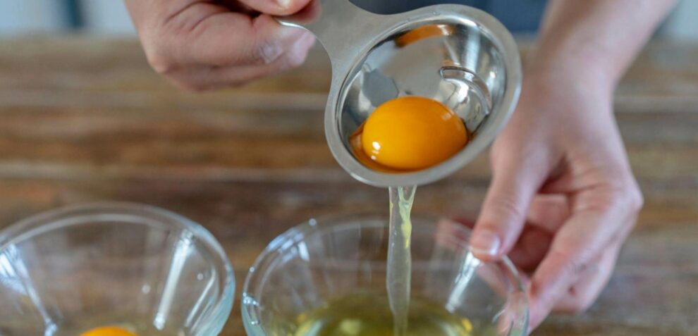 meilleur séparateur jaune blanc oeuf avis comparatif