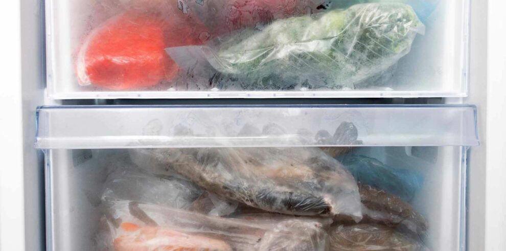 meilleur thermomètre réfrigérateur congélateur avis comparatif