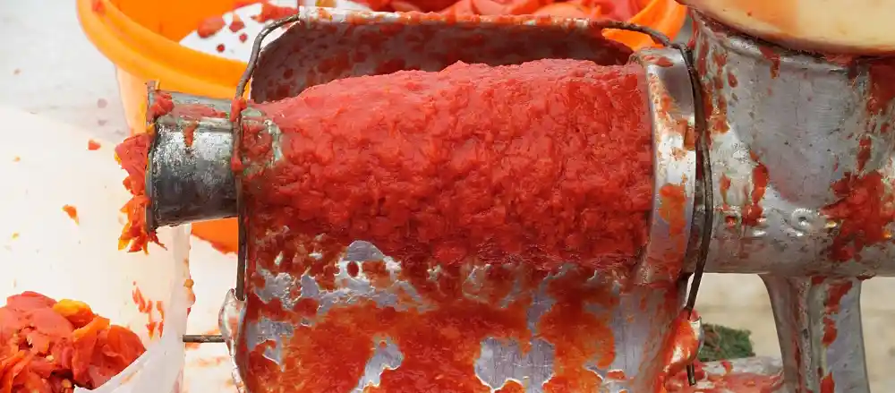 meilleur presse tomates épépineuse avis comparatif guide d'achat