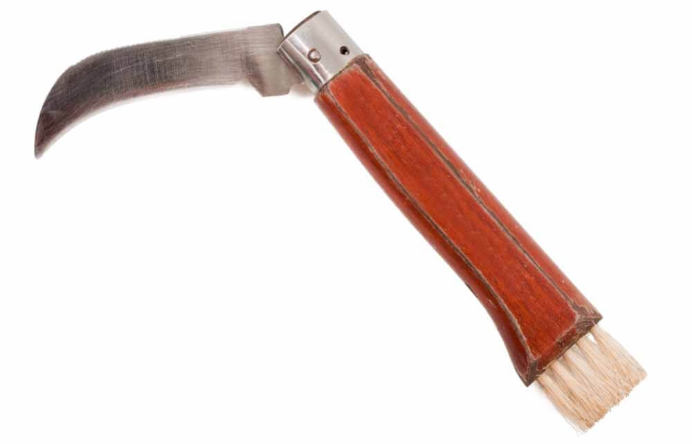 meilleur couteau a champignon avis comparatif guide d'achat