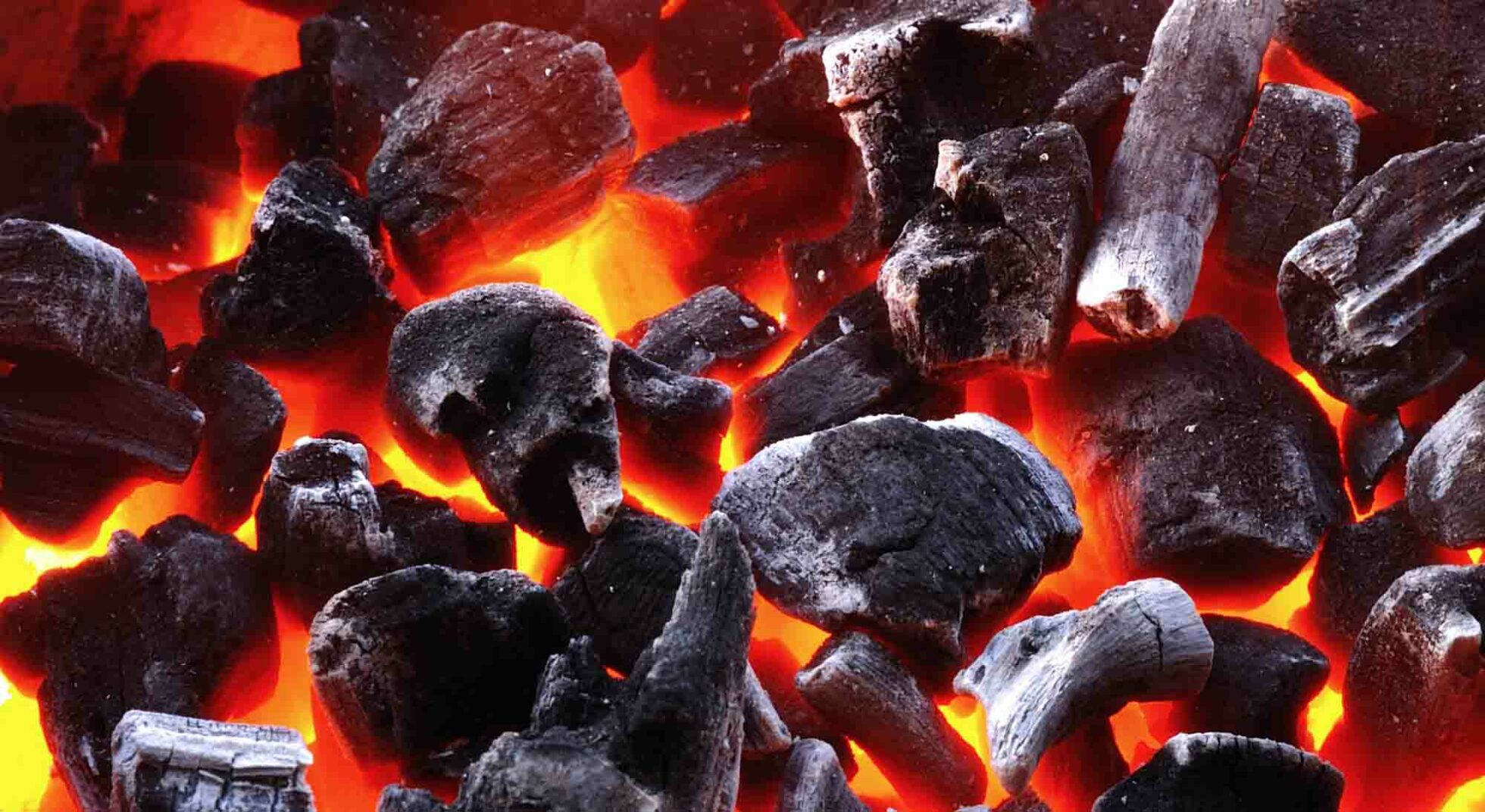 meilleur charbon de bois briquette barbecue avis comparatif guide d'achat