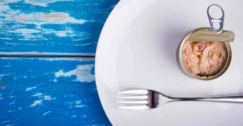 meilleures boites de thon avis guide d'achat