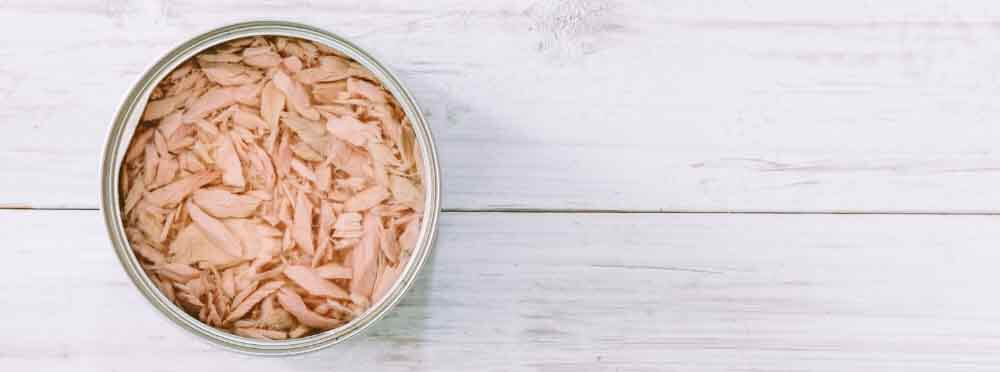 meilleures boites de thon avis guide d'achat