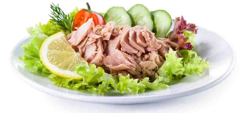 meilleures boites de thon avis guide d'achat