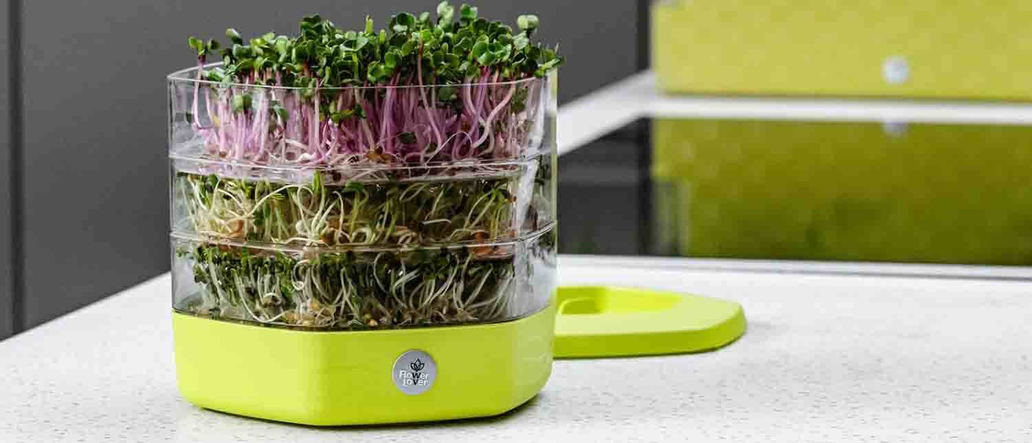 meilleur germoir a graines avis comparatif guide d'achat