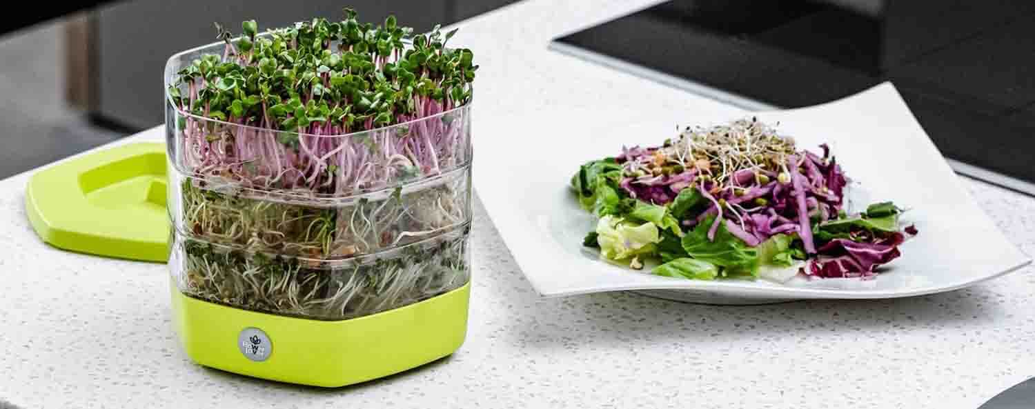 meilleur germoir a graines avis comparatif guide d'achat