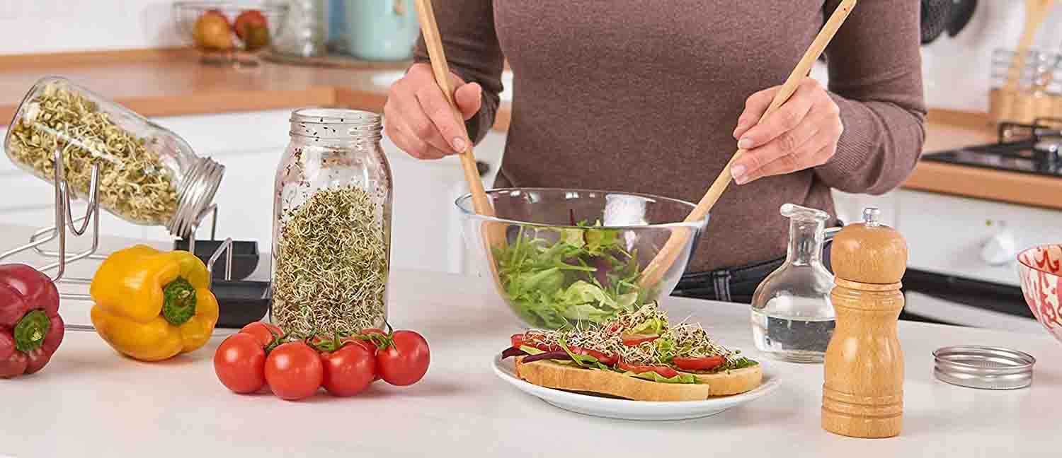 meilleur germoir a graines avis comparatif guide d'achat