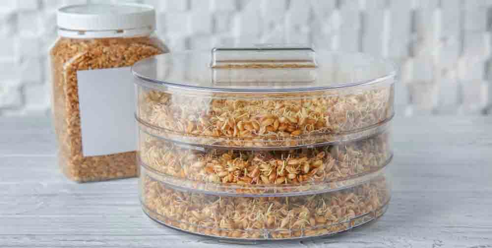 meilleur germoir a graines avis comparatif guide d'achat