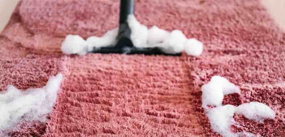 meilleur nettoyeur tapis moquette avis