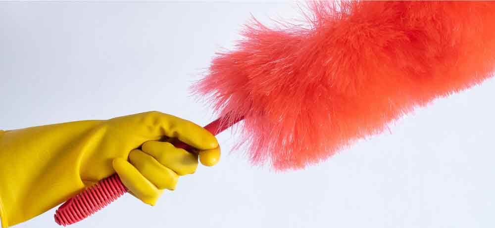 meilleur plumeau menage poussiere avis comparatif guide dachat