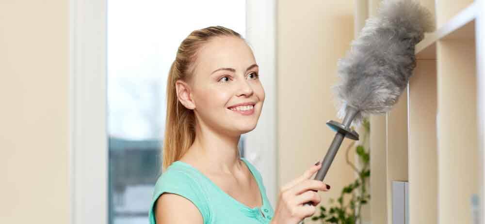 meilleur plumeau menage poussiere avis comparatif guide dachat