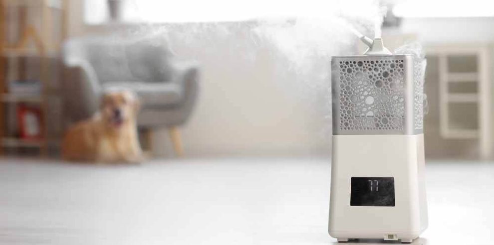meilleur humidificateur d'air maison chambre