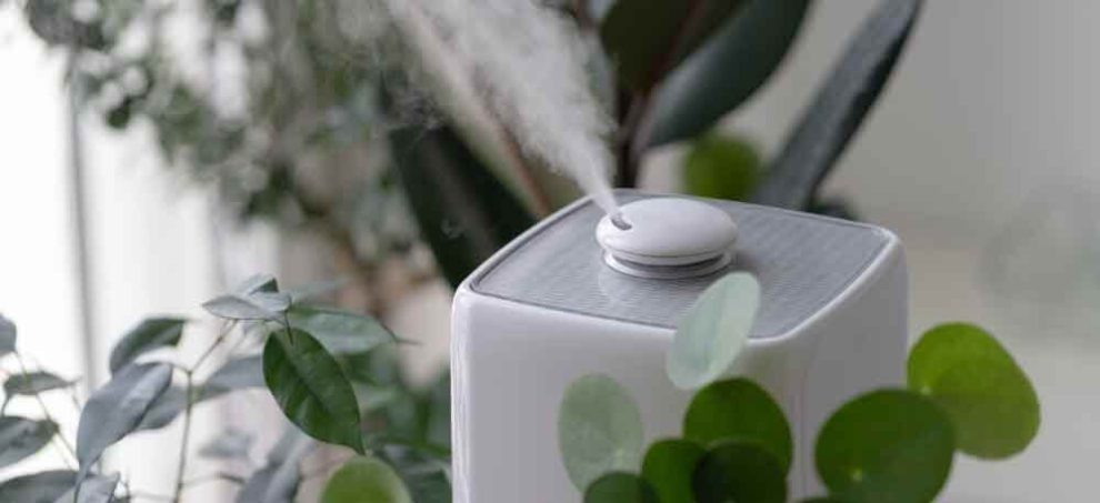 meilleur humidificateur d'air maison chambre
