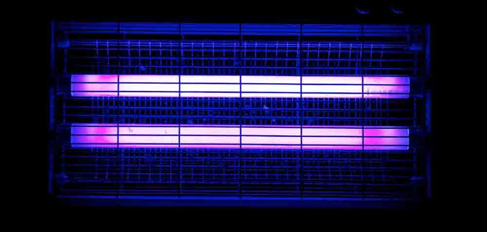 meilleur tue mouche electrique avis comparatif guide d'achat