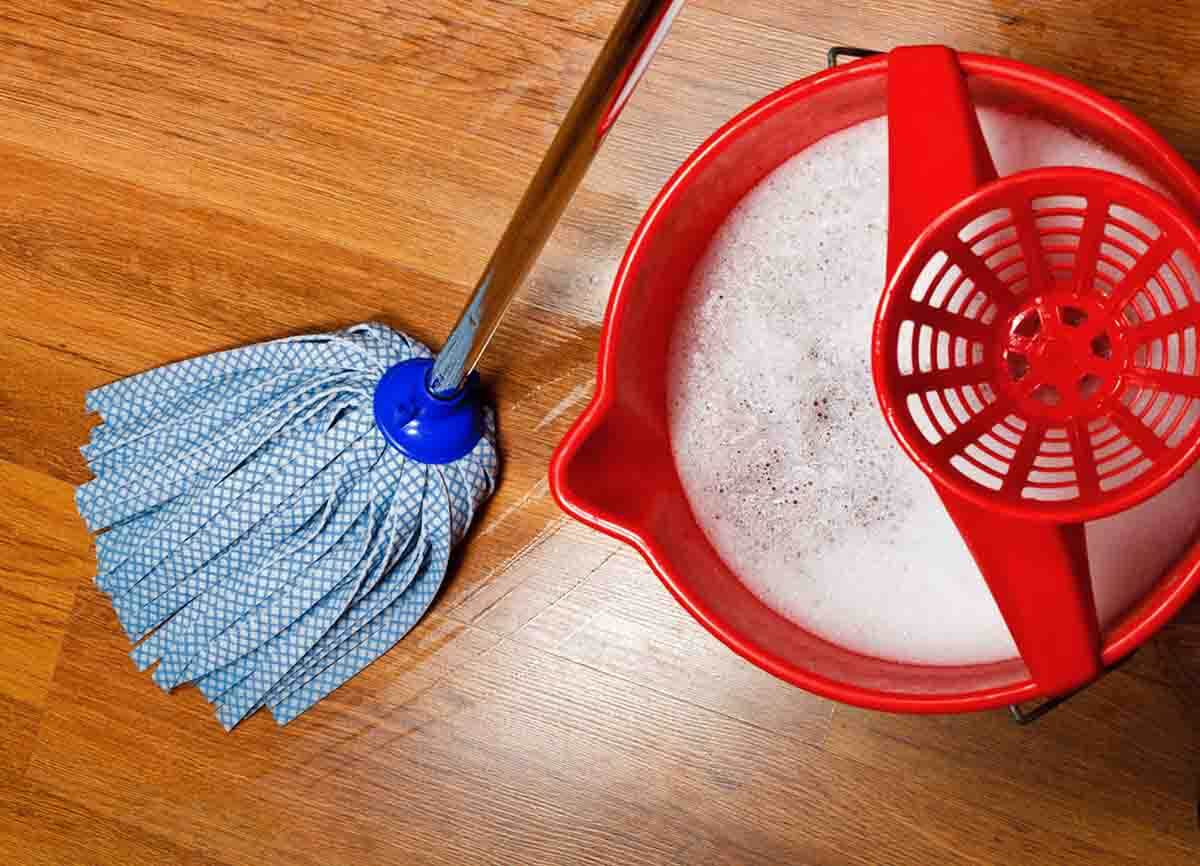 meilleur nettoyant sol maison professionnel