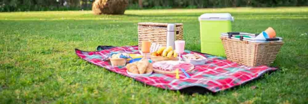 meilleur panier pique-nique picnic osier isotherme