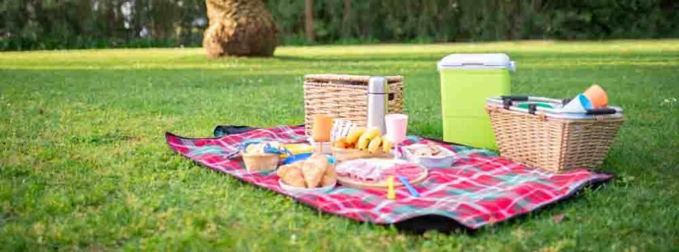 meilleure couverture nappe pique nique picnic