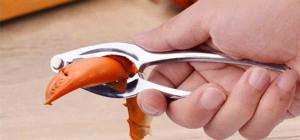 meilleures pinces a crustaces crabe fruits de mer homard