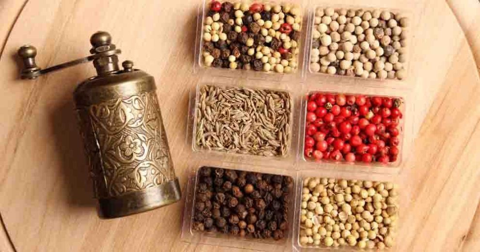 meilleurs moulins a epices