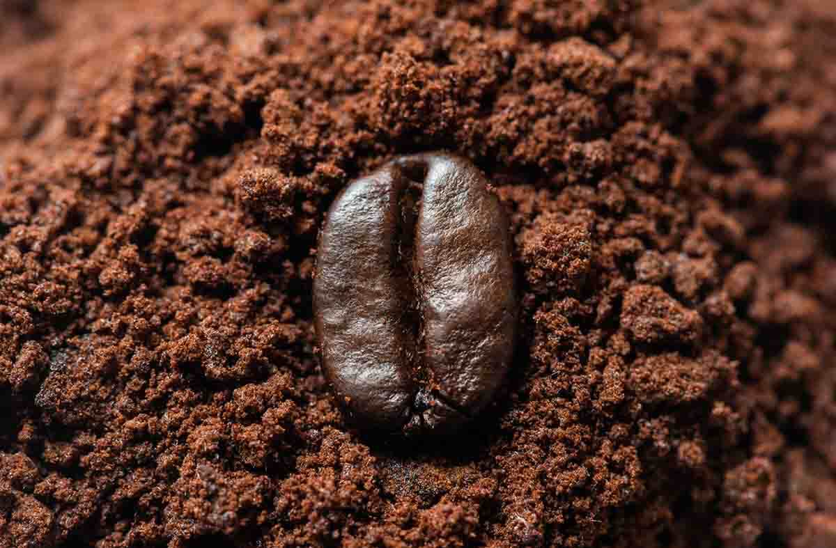 meilleur cafe moulu expresso