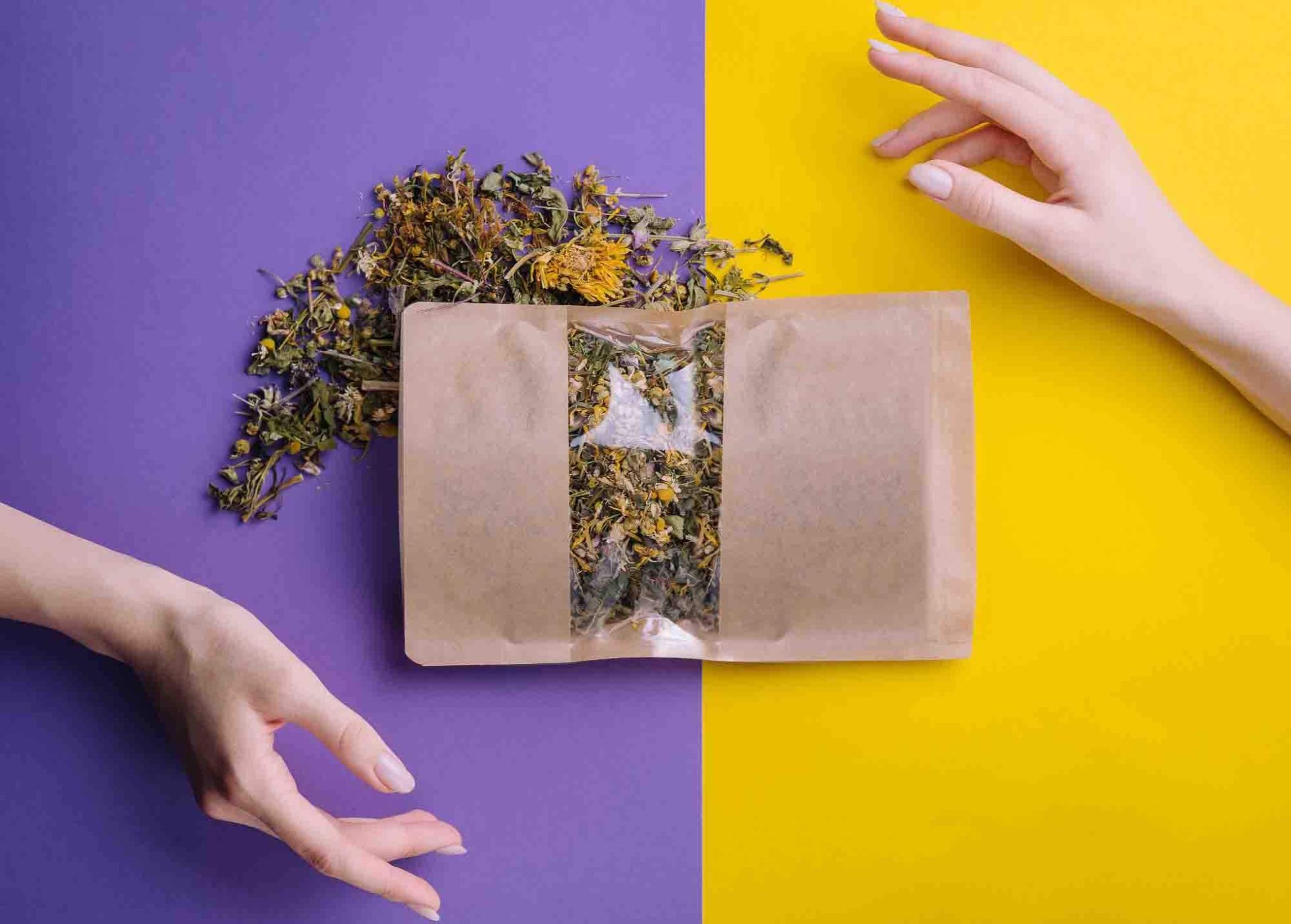 meilleur thé en vrac