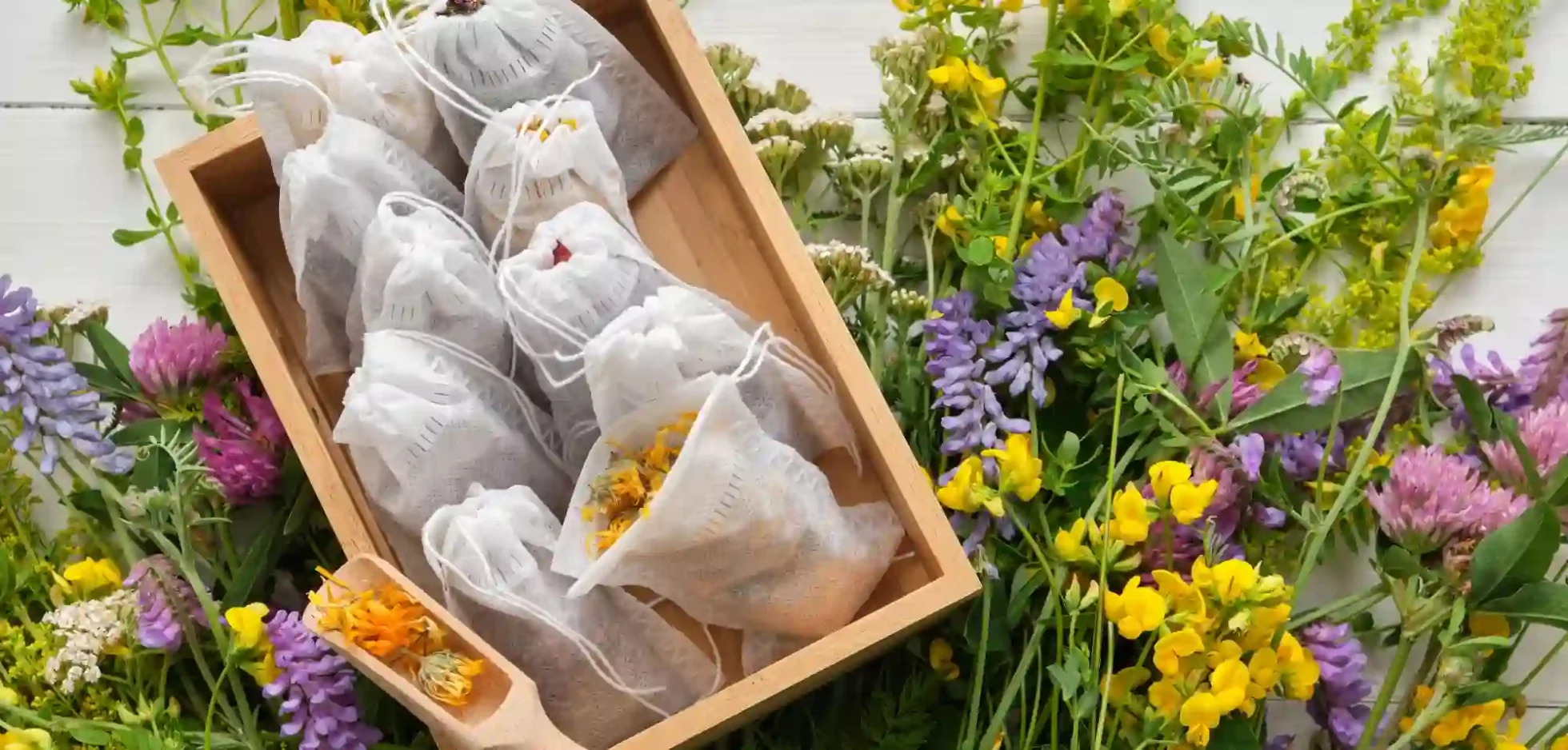 meilleure boite a thé